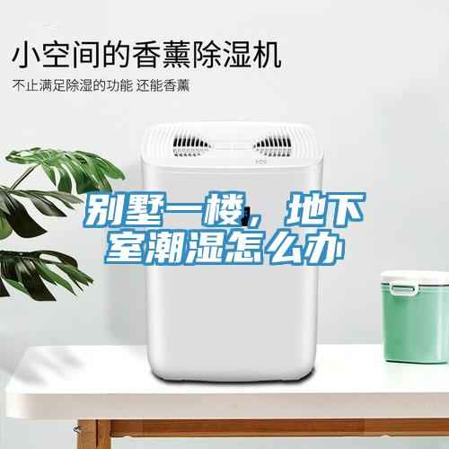 別墅一樓，地下室潮濕怎麽辦