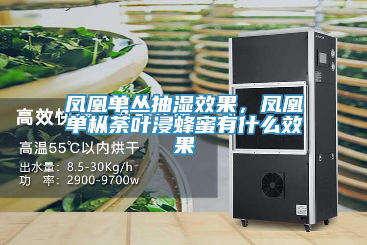 鳳凰單叢抽濕效果，鳳凰單樅荼葉浸蜂蜜有什麽效果