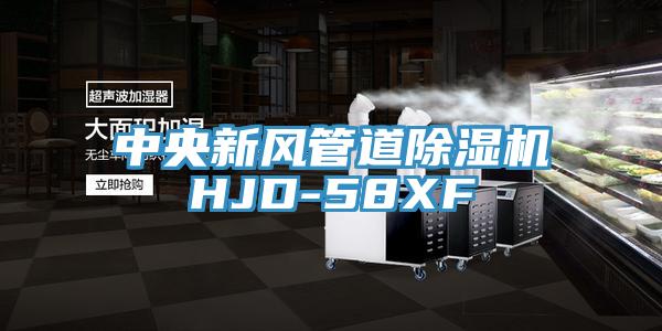 中央新風管道草莓污视频在线看HJD-58XF