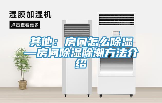 其他：房間怎麽除濕—房間除濕除潮方法介紹