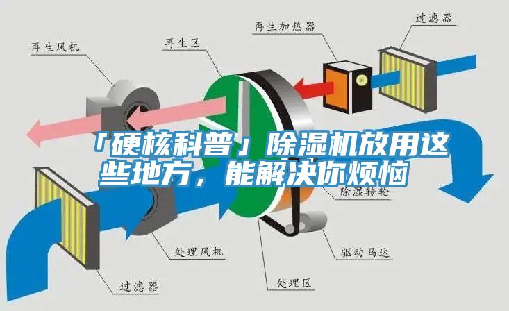 「硬核科普」草莓污视频在线看放用這些地方，能解決你煩惱