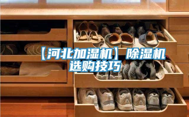 【河北加濕機】草莓污视频在线看選購技巧