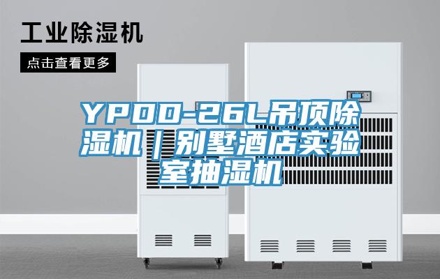 YPDD-26L吊頂草莓污视频在线看｜別墅酒店實驗室抽濕機