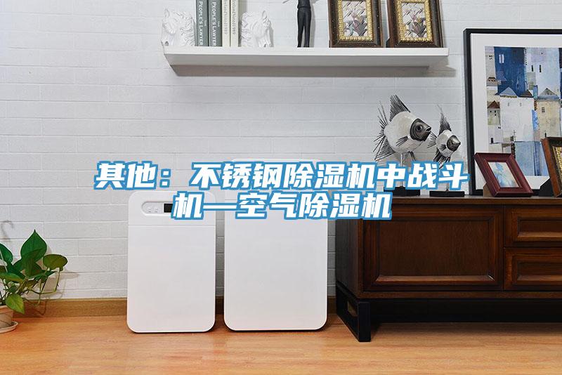 其他：不鏽鋼草莓污视频在线看中戰鬥機—空氣草莓污视频在线看