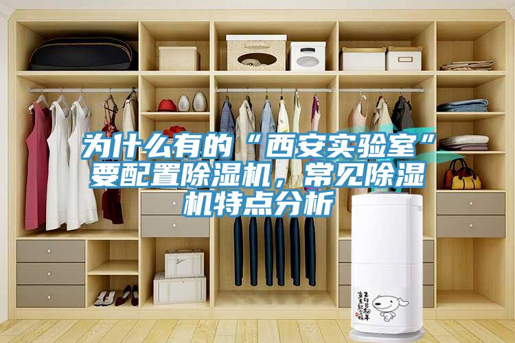 為什麽有的“西安實驗室”要配置草莓污视频在线看，常見草莓污视频在线看特點分析
