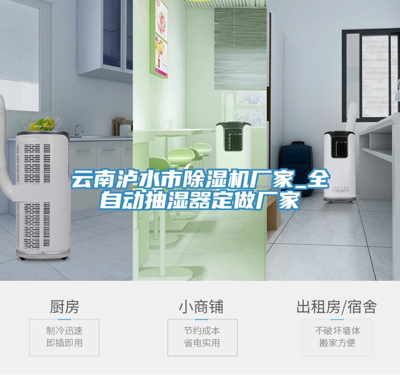雲南瀘水市草莓污视频在线看廠家_全自動抽濕器定做廠家