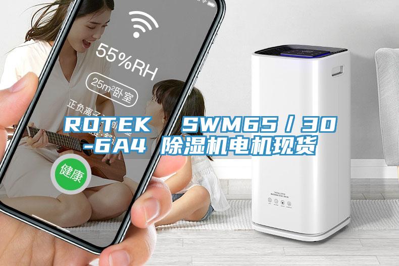 ROTEK  SWM65／30-6A4 草莓污视频在线看電機現貨