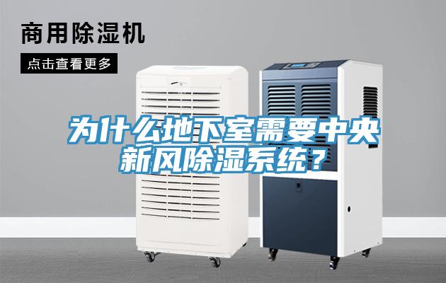 為什麽地下室需要中央新風除濕係統？