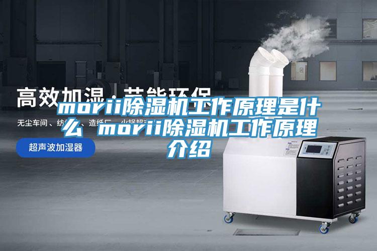 morii草莓污视频在线看工作原理是什麽 morii草莓污视频在线看工作原理介紹