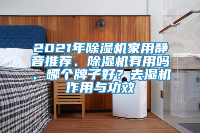 2021年草莓污视频在线看家用靜音推薦、草莓污视频在线看有用嗎、哪個牌子好？去濕機作用與功效