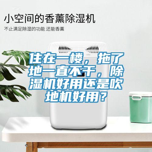 住在一樓，拖了地一直不幹，草莓污视频在线看好用還是吹地機好用？