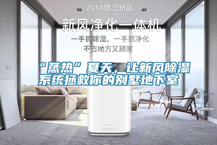 “蒸熱”夏天，讓新風除濕係統拯救你的別墅地下室