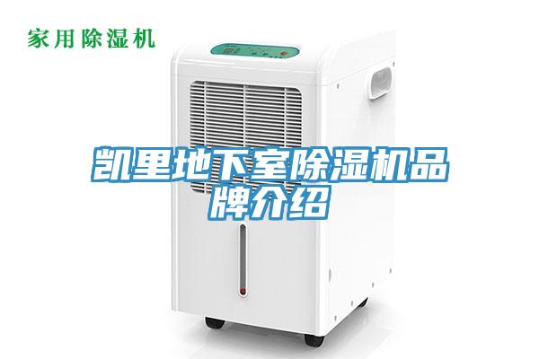 凱裏地下室草莓污视频在线看品牌介紹