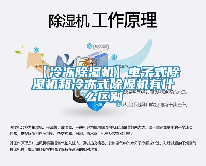 【冷凍草莓污视频在线看】電子式草莓污视频在线看和冷凍式草莓污视频在线看有什麽區別