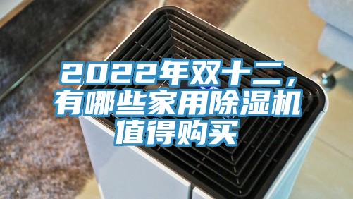 2022年雙十二，有哪些家用草莓污视频在线看值得購買