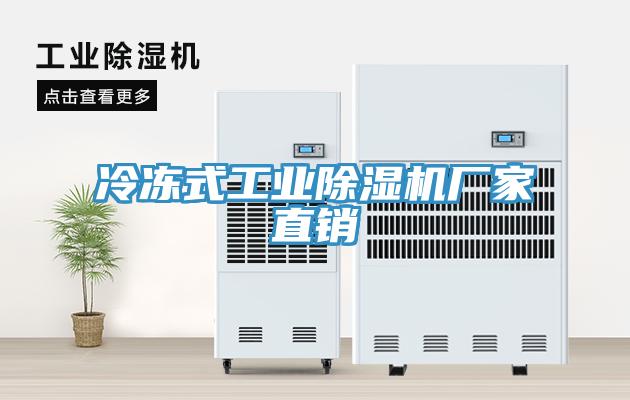 冷凍式工業草莓污视频在线看廠家直銷