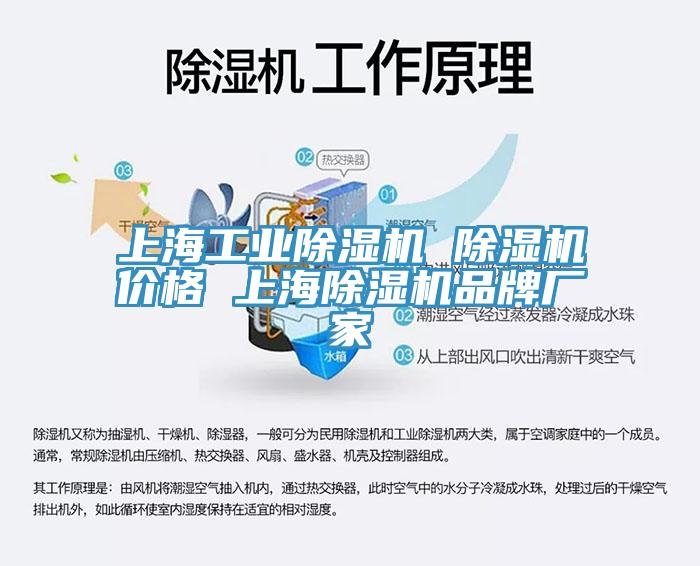 上海工業草莓污视频在线看 草莓污视频在线看價格 上海草莓污视频在线看品牌廠家