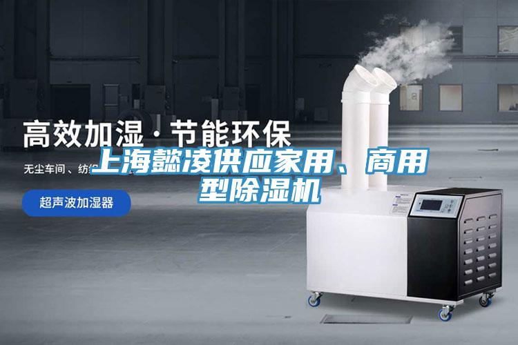 上海懿淩供應家用、商用型草莓污视频在线看
