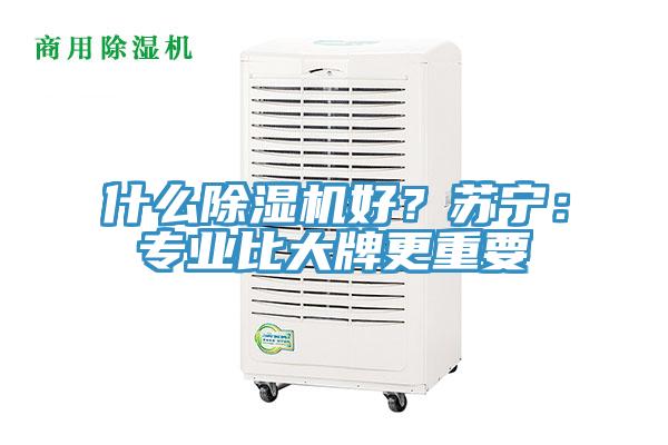 什麽草莓污视频在线看好？蘇寧：專業比大牌更重要