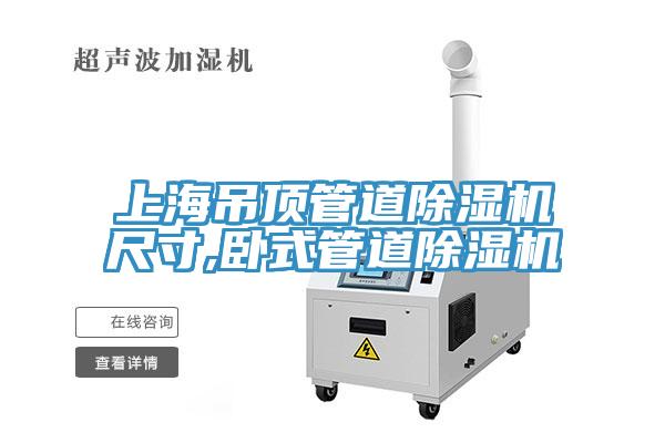 上海吊頂管道草莓污视频在线看尺寸,臥式管道草莓污视频在线看