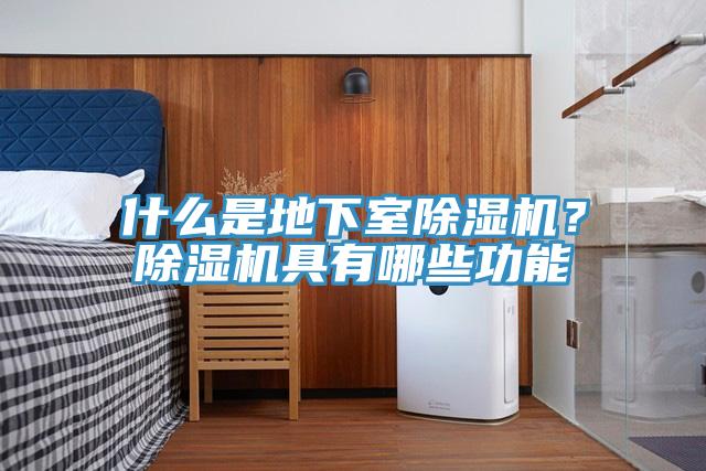 什麽是地下室草莓污视频在线看？草莓污视频在线看具有哪些功能