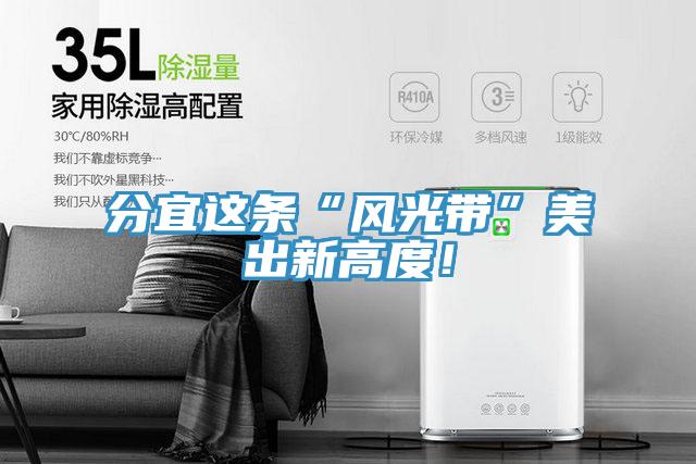 分宜這條“風光帶”美出新高度！