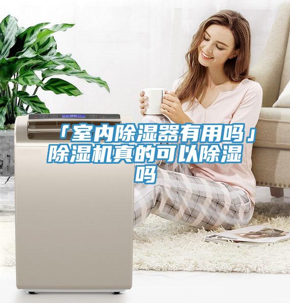「室內除濕器有用嗎」草莓污视频在线看真的可以除濕嗎