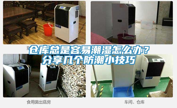 倉庫總是容易潮濕怎麽辦？分享幾個防潮小技巧