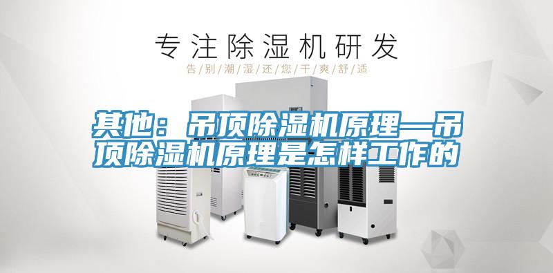 其他：吊頂草莓污视频在线看原理—吊頂草莓污视频在线看原理是怎樣工作的
