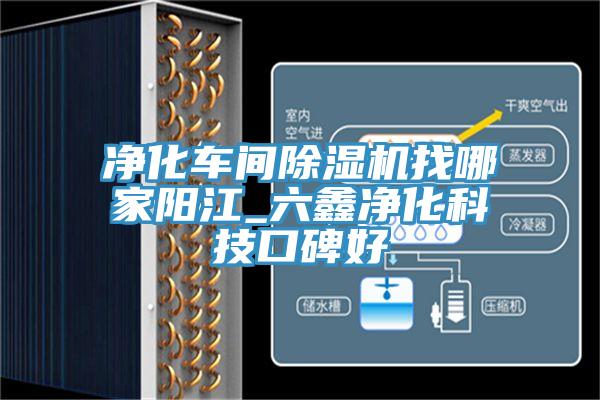 淨化車間草莓污视频在线看找哪家陽江_六鑫淨化科技口碑好