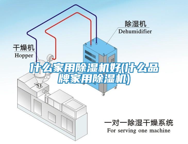 什麽家用草莓污视频在线看好(什麽品牌家用草莓污视频在线看)