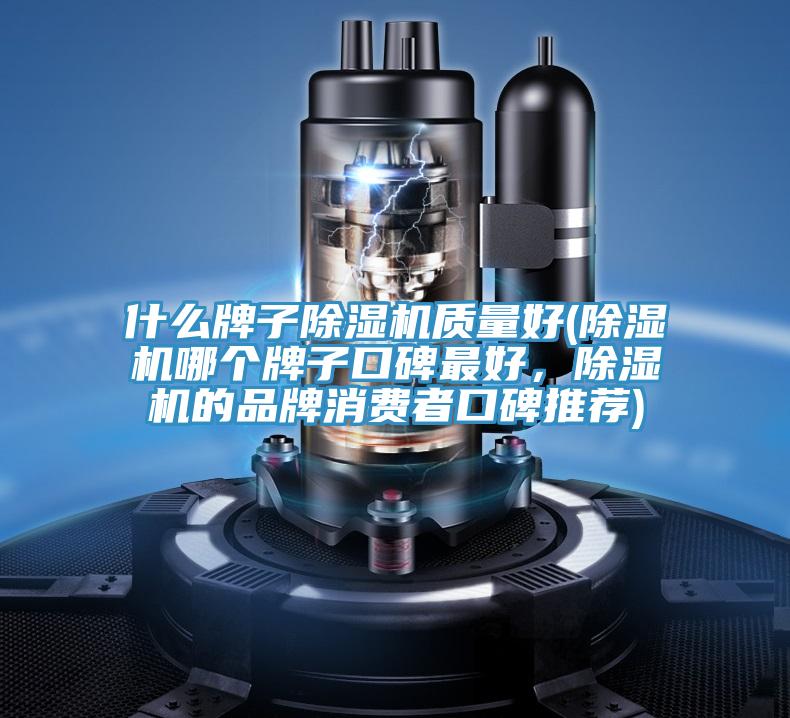 什麽牌子草莓污视频在线看質量好(草莓污视频在线看哪個牌子口碑最好，草莓污视频在线看的品牌消費者口碑推薦)