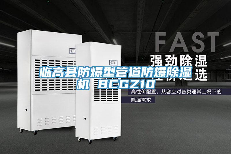 臨高縣防爆型管道防爆草莓污视频在线看 BCGZ10