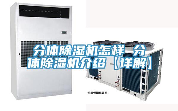分體草莓污视频在线看怎樣 分體草莓污视频在线看介紹【詳解】