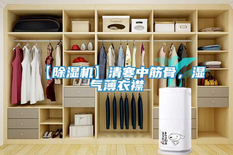 【草莓污视频在线看】清寒中筋骨，濕氣薄衣襟
