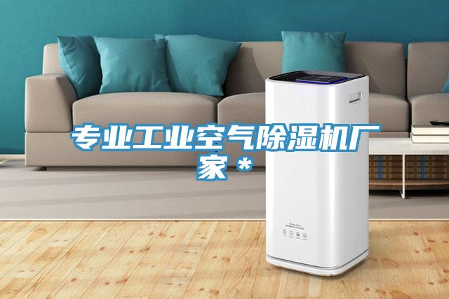 專業工業空氣草莓污视频在线看廠家＊