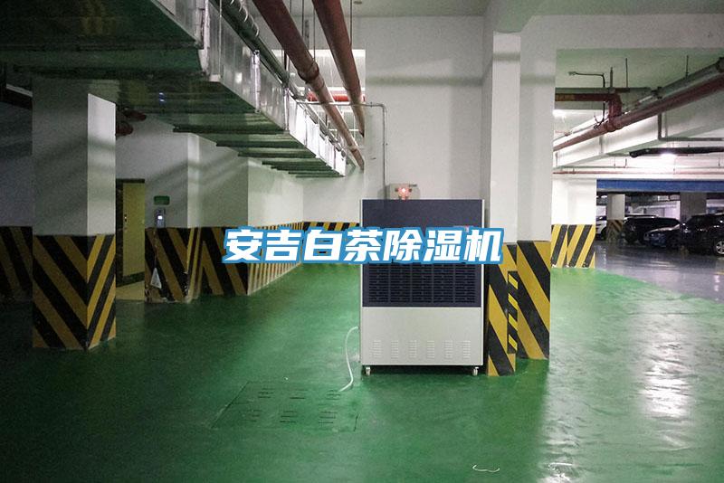 安吉白茶草莓污视频在线看