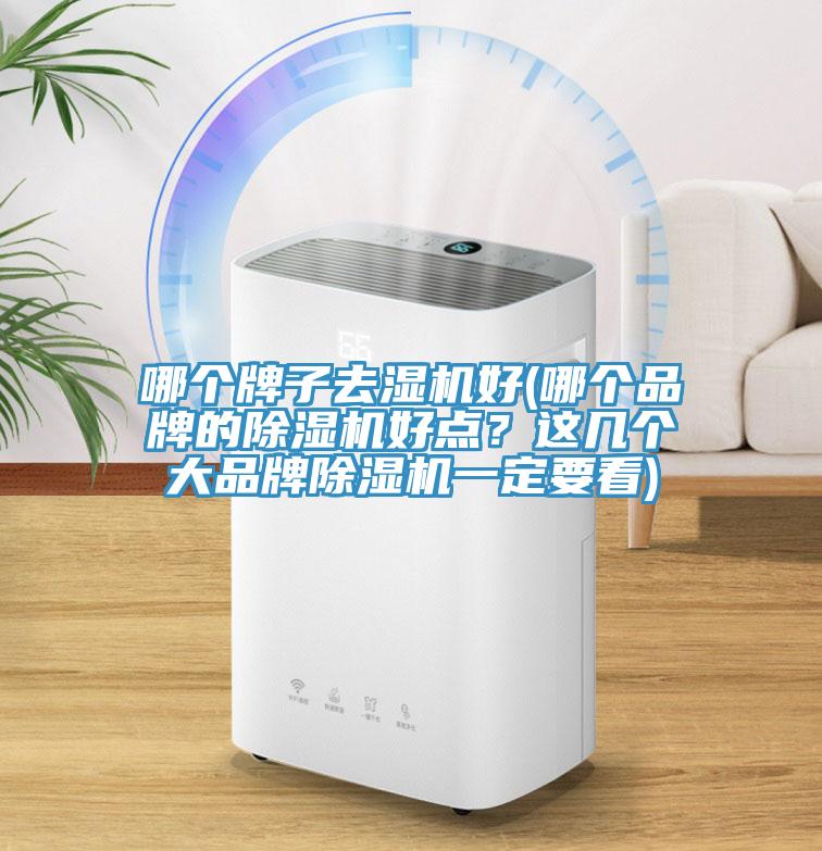 哪個牌子去濕機好(哪個品牌的草莓污视频在线看好點？這幾個大品牌草莓污视频在线看一定要看)