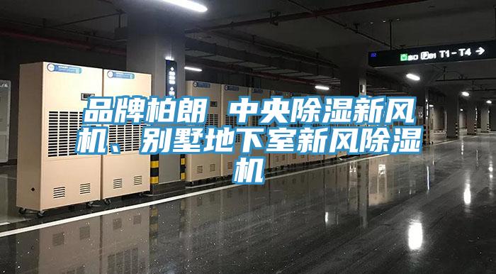 品牌柏朗 中央除濕新風機、別墅地下室新風草莓污视频在线看