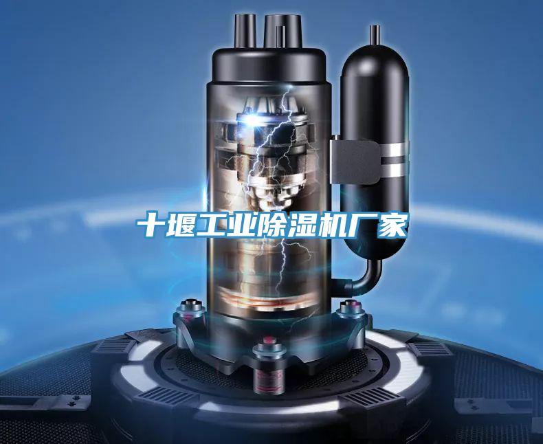 十堰工業草莓污视频在线看廠家