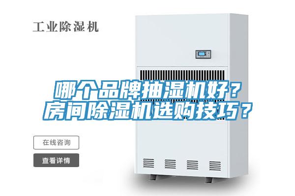 哪個品牌抽濕機好？房間草莓污视频在线看選購技巧？