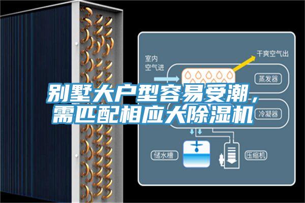 別墅大戶型容易受潮，需匹配相應大草莓污视频在线看