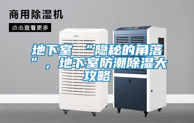 地下室≠“隱秘的角落”，地下室防潮除濕大攻略