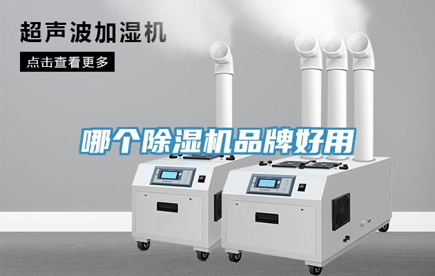 哪個草莓污视频在线看品牌好用