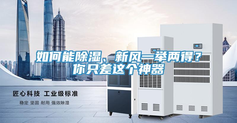 如何能除濕、新風一舉兩得？你隻差這個神器