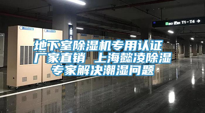 地下室草莓污视频在线看專用認證 廠家直銷 上海懿淩除濕專家解決潮濕問題