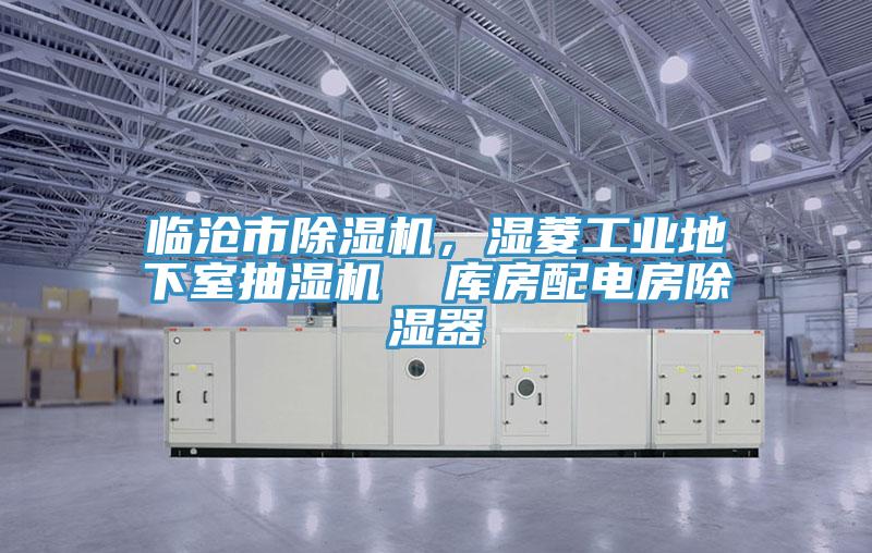 臨滄市草莓污视频在线看，濕菱工業地下室抽濕機  庫房配電房除濕器