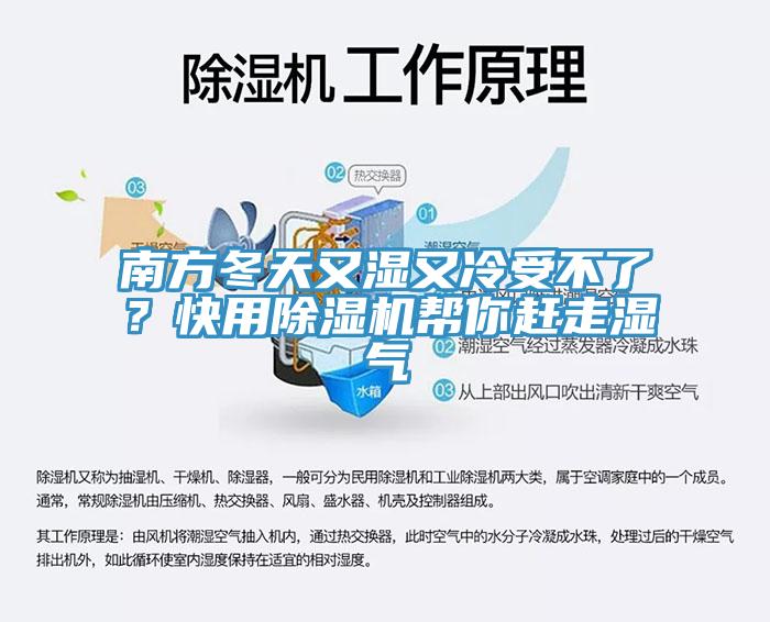 南方冬天又濕又冷受不了？快用草莓污视频在线看幫你趕走濕氣