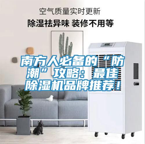 南方人必備的“防潮”攻略：最佳草莓污视频在线看品牌推薦！