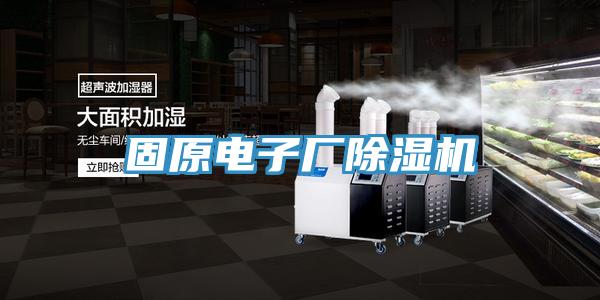 固原電子廠草莓污视频在线看
